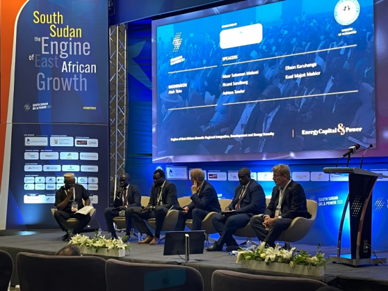 Stanbic Bank Hosts Regional Integration Discussion at South Sudan Energy Summit