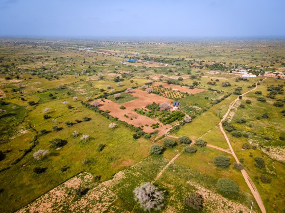 Senegal: African Development Bank agrees loan of nearly €87 million for Agropole Nord