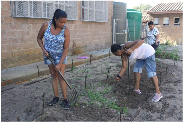 African Development Bank Group (AfDB)