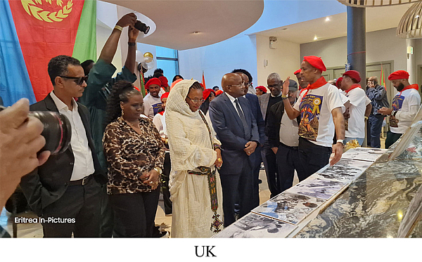 Eritrea: Various Activities by Diaspora Nationals