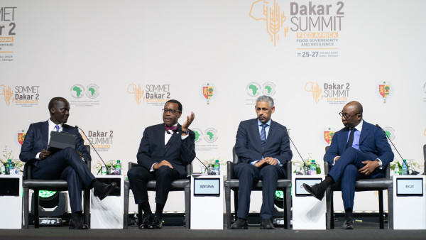 Dakar 2 Summit: Partnership to deliver technologies to farmers to feed Africa – says Adesina