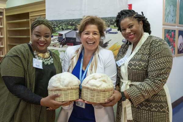 World Cotton Day: Celebrating the Role of Cotton in Global Development While Calling for Developing the Crop More Sustainably