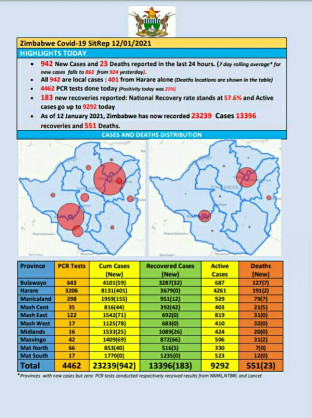 Coronavirus - Zimbabwe: COVID-19 Update (12th January 2021)