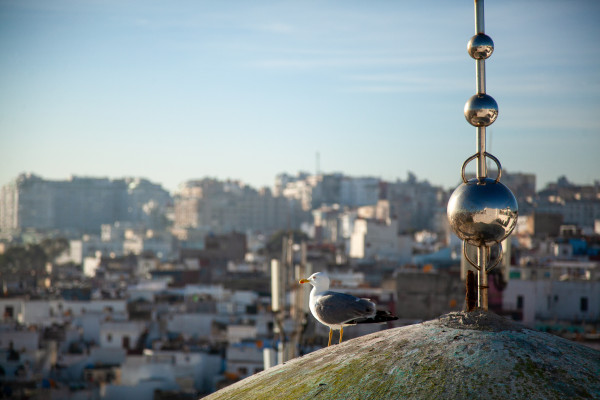 African Development Bank Group (AfDB)