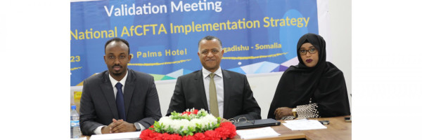 Somalia embraces the African Continental Free Trade Area (AfCFTA), validates its National Strategy