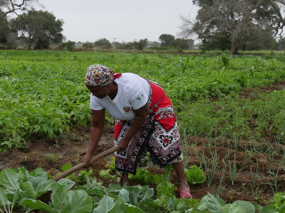 Empower women to help save Africa from climate change