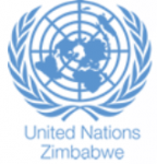 United Nations Country Team (UNCT), Zimbabwe
