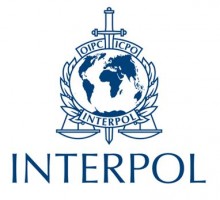 Global crackdown on illegal wildlife and timber trade: INTERPOL and World Customs Organization join forces