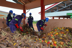 Food Waste at JVL-YKMA Recycling Plant, Ghana.jpg