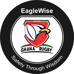 EagleWise Logo.jpeg