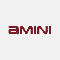 Amini closes $4m Seed Funding Round led by Salesforce Ventures and Female Founders Fund