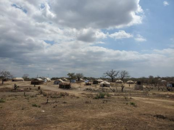 Appeal launched for Humanitarian Response to Cyclone Devastation in Mozambique