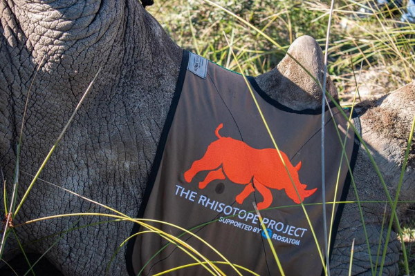 How can The Rhisotope Project help Cycad Plants?