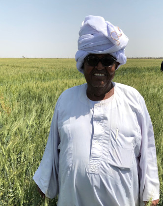 Sudan: African Development Bank Group commits nearly  million to boost wheat production