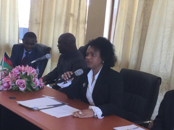 World Health Organization (WHO) and Ministry of Health (MOH) brief Malawian journalists about the Ebola Virus Disease outbreak situation in the African Region