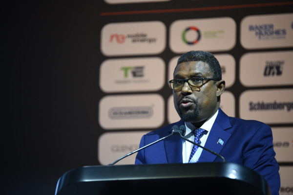 Somalia Open for Business, says Petroleum Minister: 15 Licenses on Offer