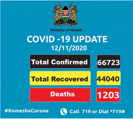 Coronavirus - Kenya: COVID-19 updates (12 November 2020)