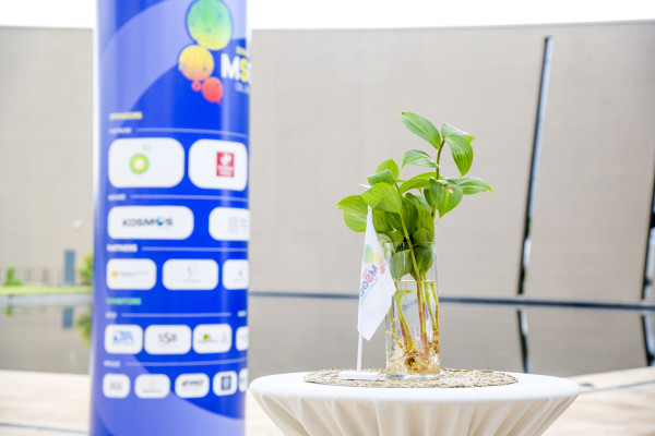 Energy Capital & Power