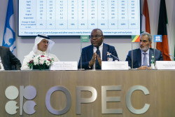 Bruno Itoua OPEC 1.jpeg