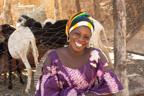 Senegal: African Development Bank grants about EUR 40 million for the development of livestock production and productivity