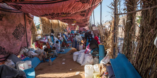 Statement by Secretary General Jan Egeland: Aid still not reaching Tigray