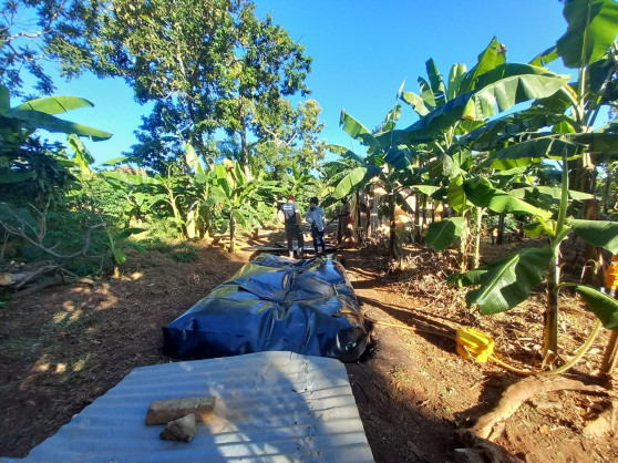 African Development Bank Group (AfDB)