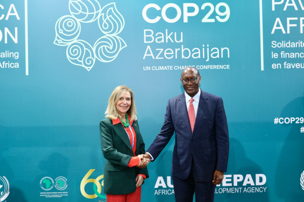 African Development Bank Group (AfDB)