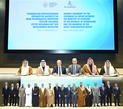 Arab Coordination Group (ACG)