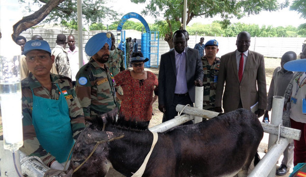 Indian peacekeepers give Malakal vet hospital a facelift (by Gagan)