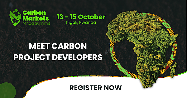 Beyond the carbon credit: Who sets the terms for Africa’s carbon markets?