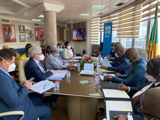 OPEC Secretary General Says Africa Needs to Combat Energy Poverty As a Priority